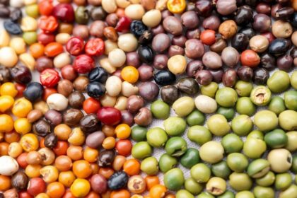 حرفية فسيفساء ملونة بالحبوب والبذور.