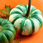 The Teal Pumpkin Project: Spreading Safe Halloween Joy